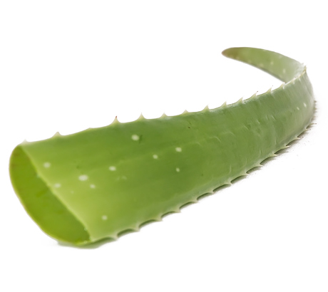 aloe-vera-karkinos